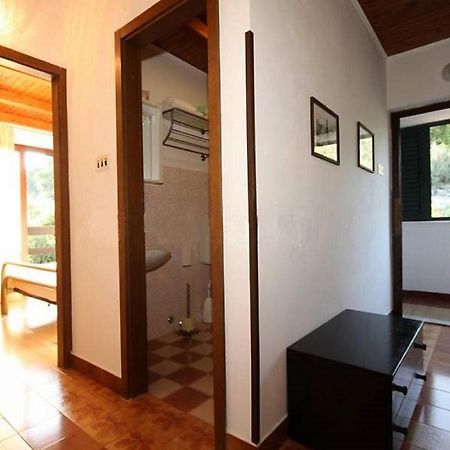 Apartment Iva Molunat Exterior photo